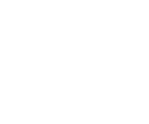 Icona globo internet con WWW - Giorgia Scribano